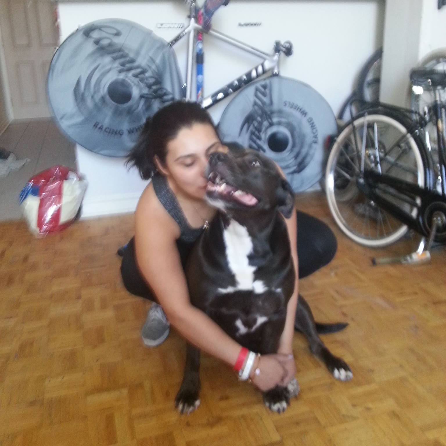 Pet Sitting Pic1